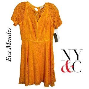 NWT 🎉Host Pick🎉Eva Mendes for New York & Company. Gold lace dress size 2